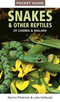 bokomslag Pocket Guide to Snakes & Other Reptiles of Zambia and Malawi