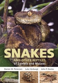 bokomslag Field Guide to Snakes and other Reptiles of Zambia and Malawi