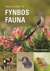 bokomslag Field Guide to Fynbos Fauna