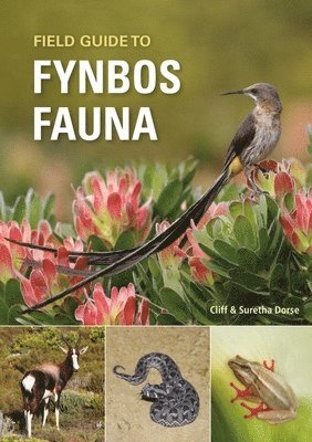 Field Guide to Fynbos Fauna 1