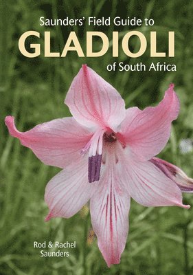 bokomslag Saunders' Field Guide to Gladioli of South Africa