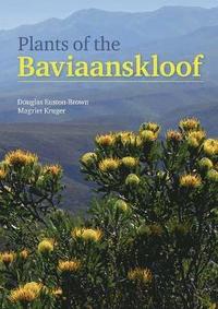 bokomslag Plants of the Baviannskloof