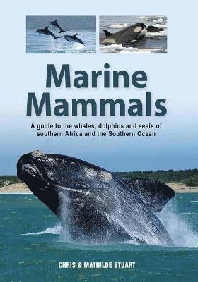 Marine Mammals 1