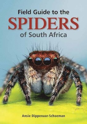 Field Guide to the Spiders of South Africa 1