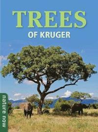 bokomslag Trees of Kruger