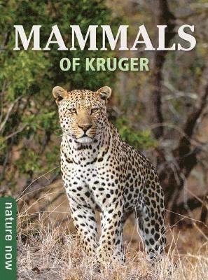 Joan Young - Mammals of Kruger, Häftad