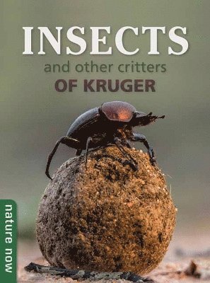 bokomslag Insects and other Critters of Kruger