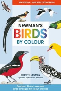 bokomslag Newman's Birds by Colour