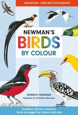 Newman's Birds by Colour 1