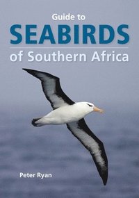 bokomslag Seabirds of Southern Africa
