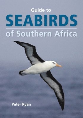 Seabirds of Southern Africa 1