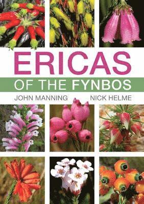 John Manning, Nick Helme - Ericas of the Fynbos, Häftad