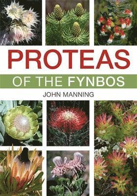 Proteas of the Fynbos 1