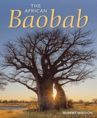 bokomslag The African Baobab