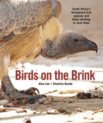 bokomslag Birds on the Brink: South Africa's Threatened Birds and Those Working to Save Them