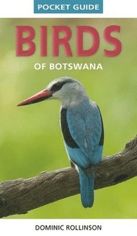 bokomslag Pocket Guide Birds of Botswana