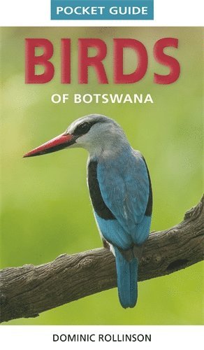 bokomslag Pocket Guide Birds of Botswana