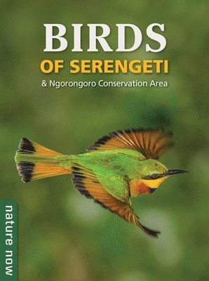 Birds of Serengeti & Ngorongoro Conservation Area 1