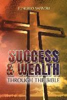 bokomslag Success & Wealth Through The Bible
