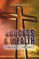 bokomslag Success & Wealth Through The Bible
