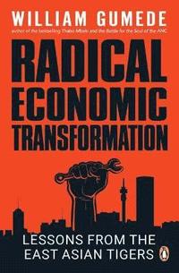 bokomslag Radical Economic Transformation