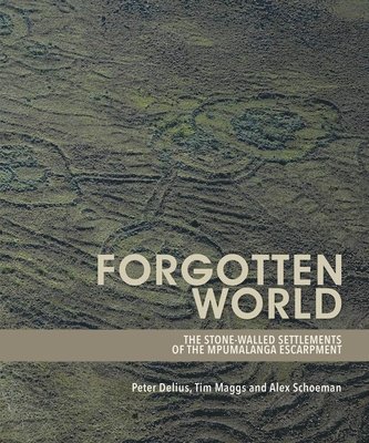 Forgotten World 1