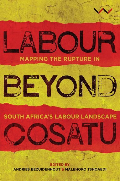 Andries Bezuidenhout, Malehoko Tshoaedi, Christine Bischoff - Labour Beyond Cosatu, Häftad
