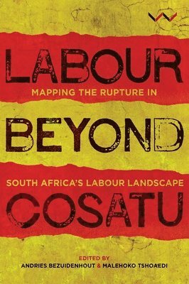 bokomslag Labour Beyond Cosatu