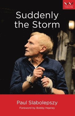 bokomslag Suddenly the Storm: A Play