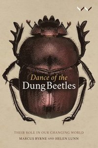 bokomslag Dance of the Dung Beetles