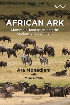 African Ark 1