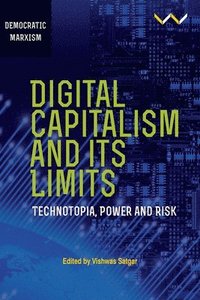 bokomslag Digital Capitalism and Its Limits