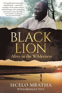 bokomslag Black Lion