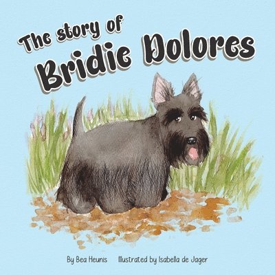 Story of Bridie Dolores 1