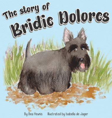 bokomslag The Story of Bridie Dolores