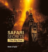 bokomslag Safari Secrets