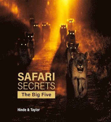 Safari Secrets 1