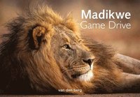 bokomslag Madikwe Game Drive