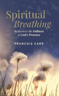 bokomslag Spiritual Breathing