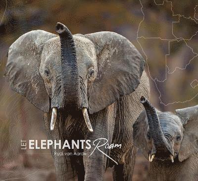 Let Elephants Roam 1