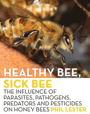Healthy Bee, Sick Bee 1