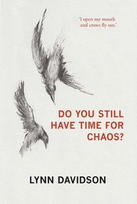 bokomslag Do You Still Have Time for Chaos?