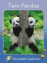 bokomslag Twin Pandas: Skills Set 1