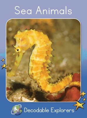 Sea Animals 1