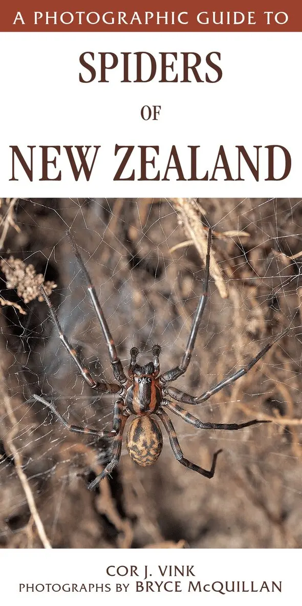 Cor,Vink - Photographic Guide to Spiders of New Zealand, Häftad. Tillgänglighet: Lägg i varukorg