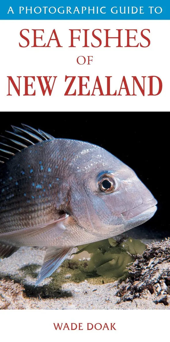 Wade,Doak - Photographic Guide to Seafish of New Zealand, Häftad. Tillgänglighet: Lägg i varukorg
