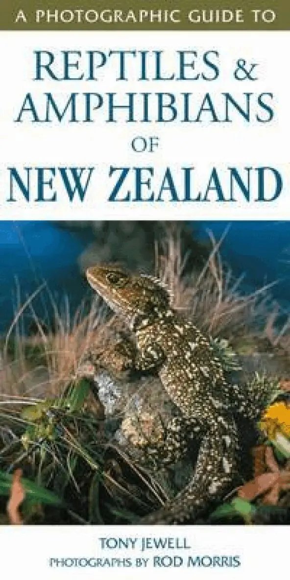 Photographic Guide to Reptiles & Amphibians of New Zealand, Häftad. Tillgänglighet: Lägg i varukorg