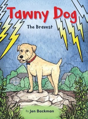 bokomslag Tawny Dog
