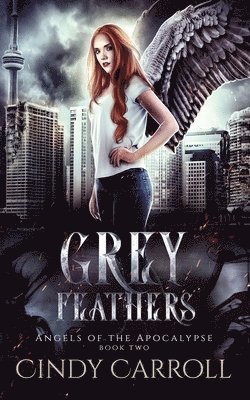 Grey Feathers 1