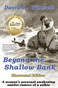 bokomslag Beyond the Shallow Bank